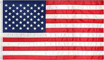 Aplicación Térmica Ricamata Bandera USA América 45x35 Mm - Foto 4