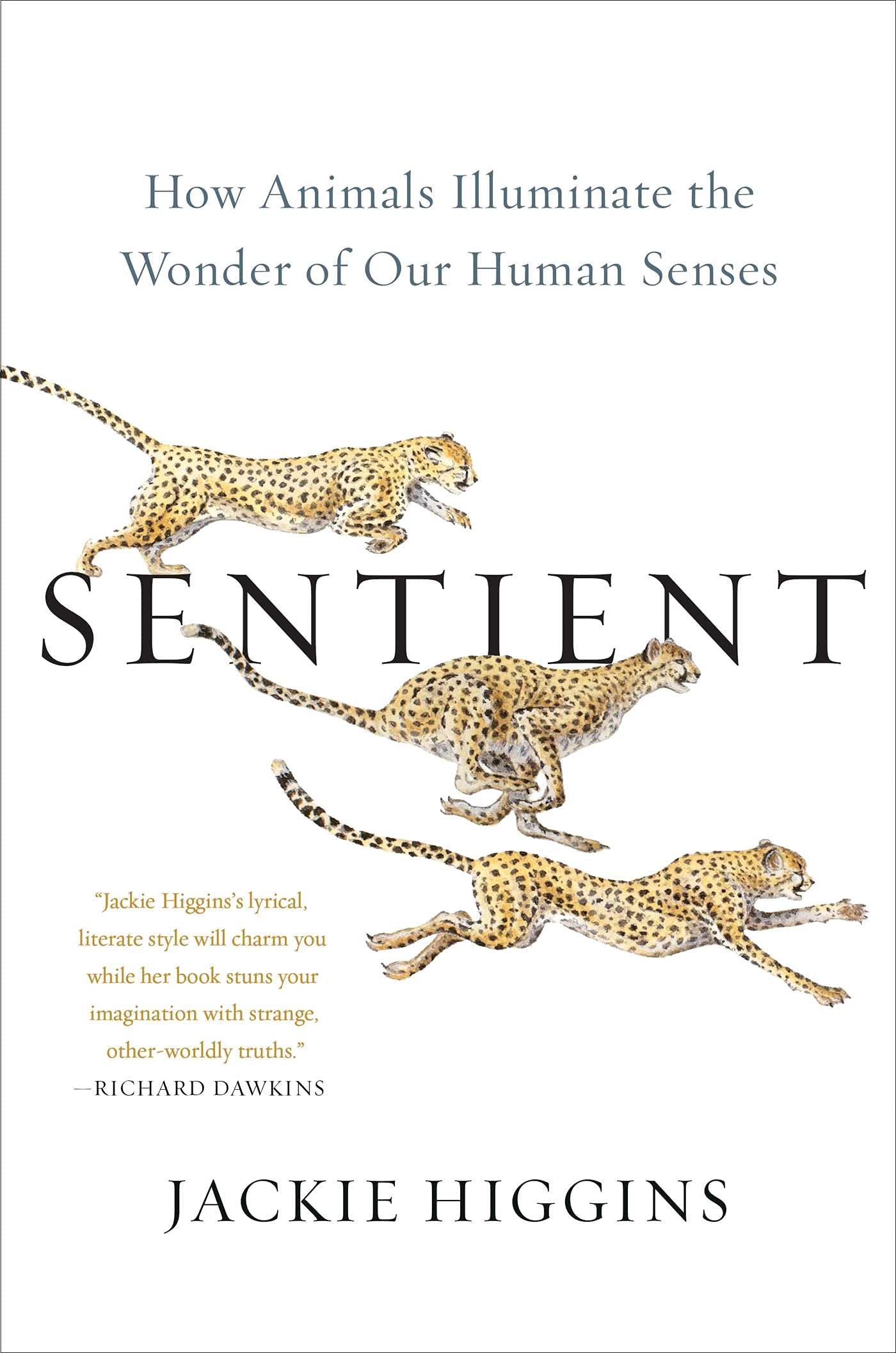 Sentient: How Animals Illuminate the Wonder of Our Human Senses