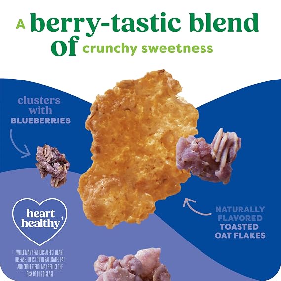 Kashi Blueberry Clusters Breakfast Cereal 17.2oz