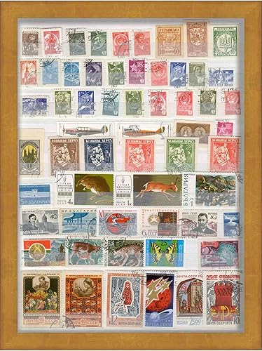 Marco dorado de 12 x 16 pulgadas, marco de caja de sombras, tamaño interior de 12 x 16 x 1.5 pulgadas de profundidad, marco dorado está hecho para