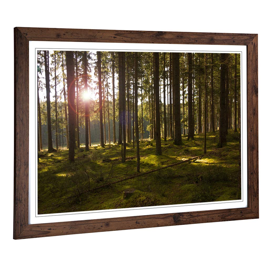 Big Box Art Framed Print of Landscape Sunlight Through Forest Woodland (3) Design | Wall Art Picture| Home Decor for Kitchen, Living Room, Bedroom, Hallway, Walnut, A2 / 24.5x18 Inch / 62x45cm
