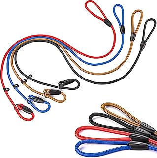 Huakaile Hundeleine, Nylon, 1 cm, verstellbar, strapazierfähig, kein Ziehen und Halsband, Training, Spazierengehen, für kleine und mittelgroße Welpen, bunt, 4 Packungen
