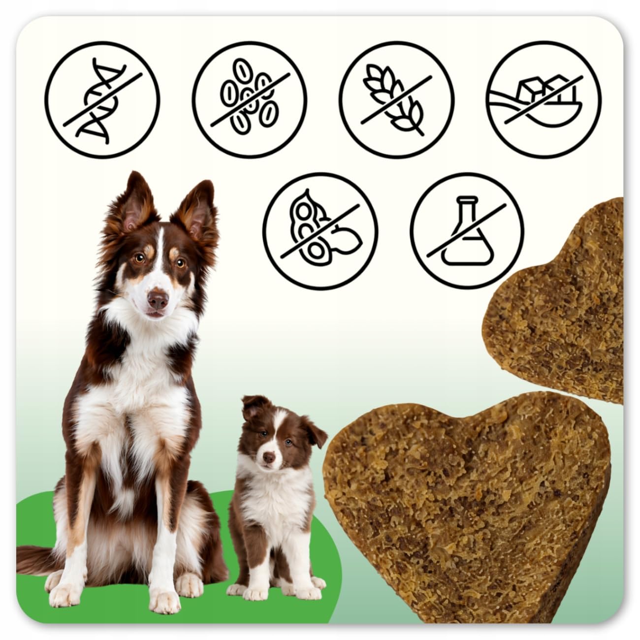 ProBio DOG FORTE 60 Soft Chews – Probiotico Anti-Prurito per Cani | Grattamento, Leccamento, Supporto Intestinale, Digestione, Immunità e Pelle Sana | Bacillus velezensis, MOS+FOS, L-Glutammina