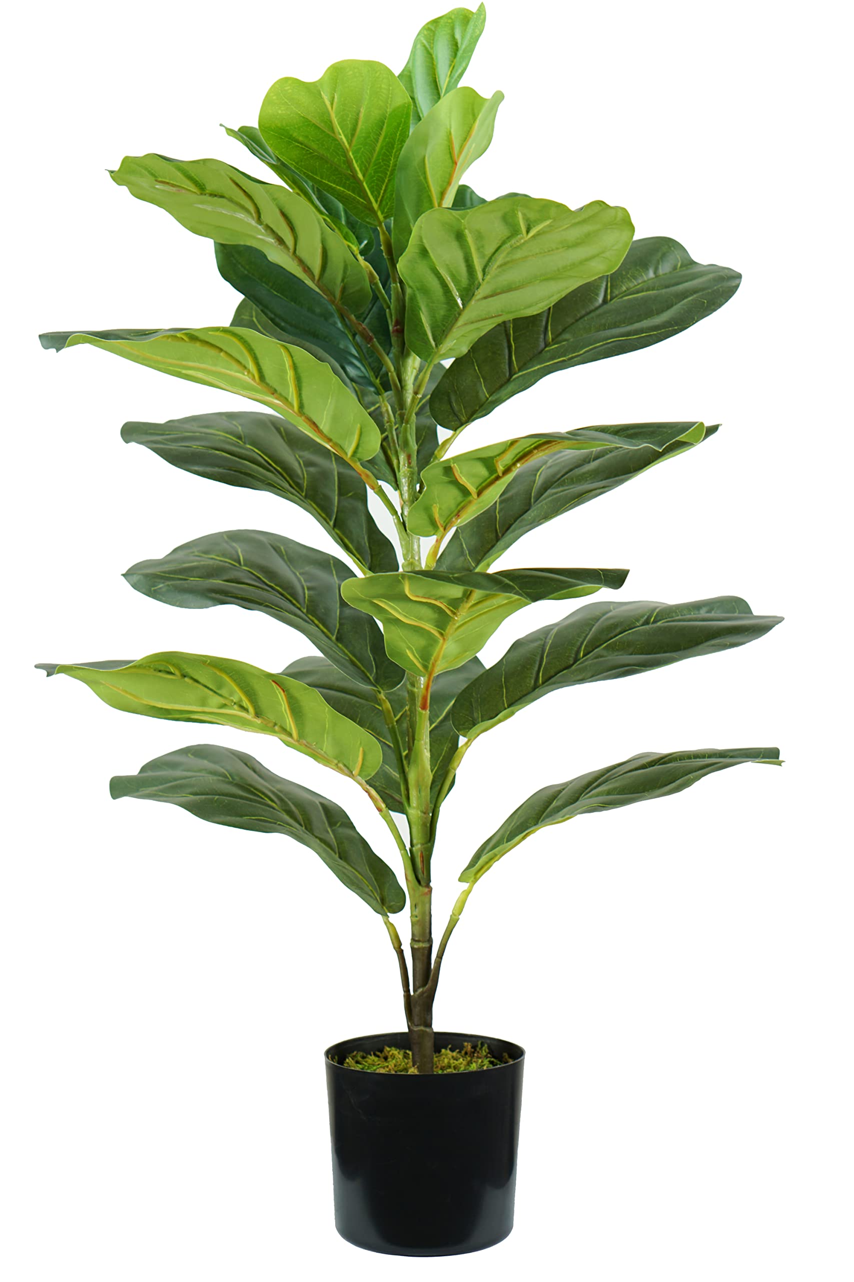 Pianta Ficus Lyrata Artificiale In Polietilene | Altezza 75 Cm, 21 Foglie, Vaso Con Muschio, Decorazione Elegante