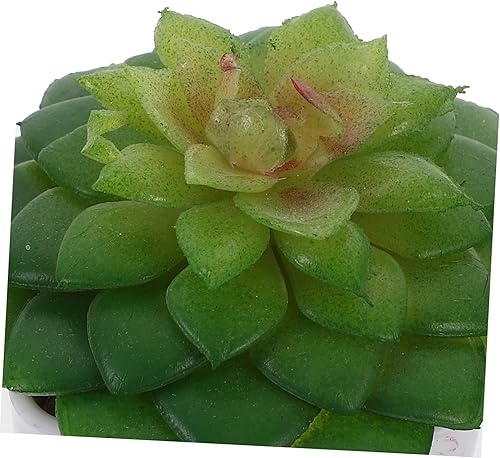 Miniatura 5 de IMIKEYA 4 piezas de bonsái simulado en miniatura en maceta, decoración de plantas decorativas en maceta, plantas artificiales en maceta, decoración