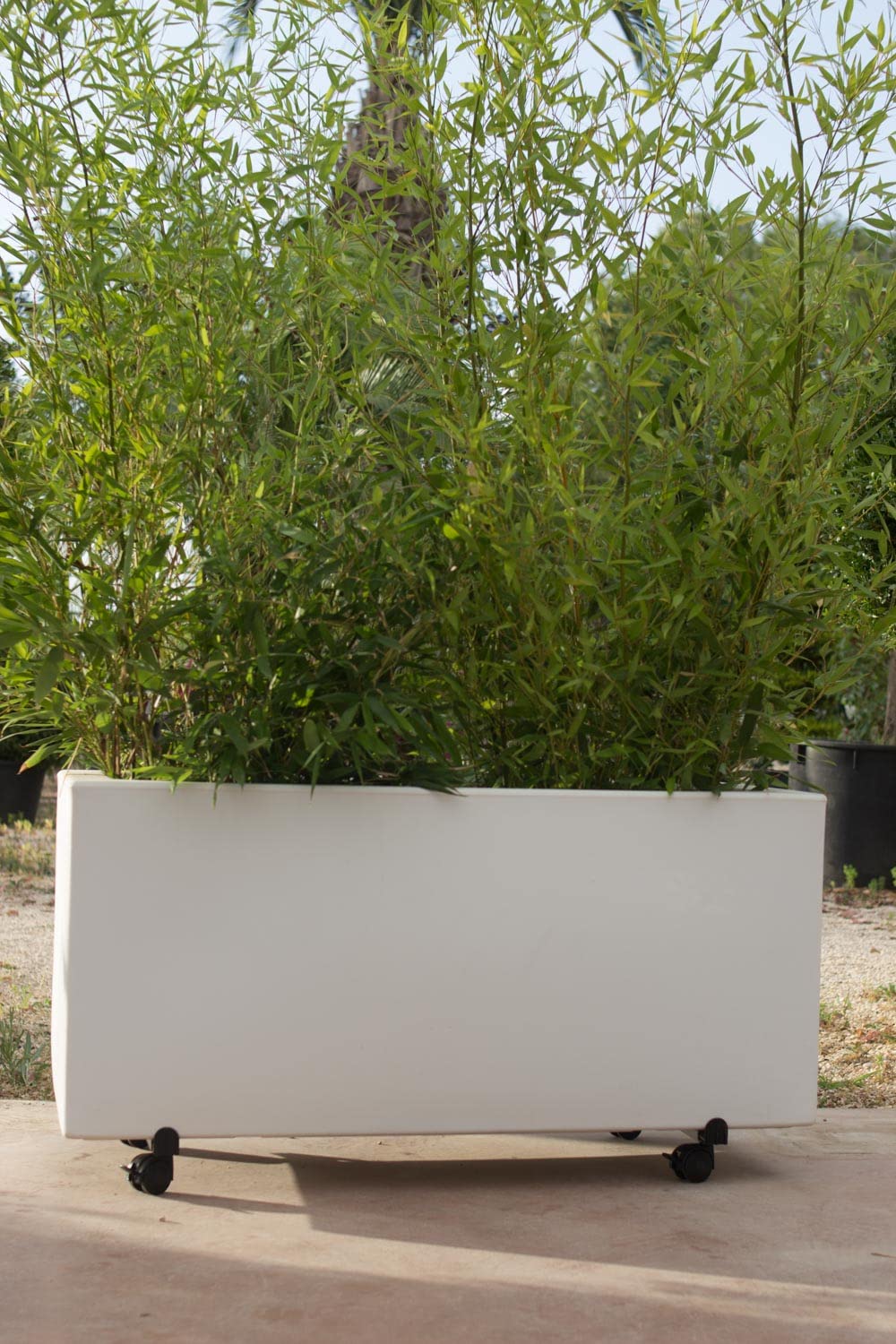 TECNOKIT, Chariot rectangulaire porte plantes et fleurs, Dimensions 78 x 37 cm, chevilles réglables, équipé de 4 roues en plastique avec frein, charge maximale 120 kg, robuste Structure en acier