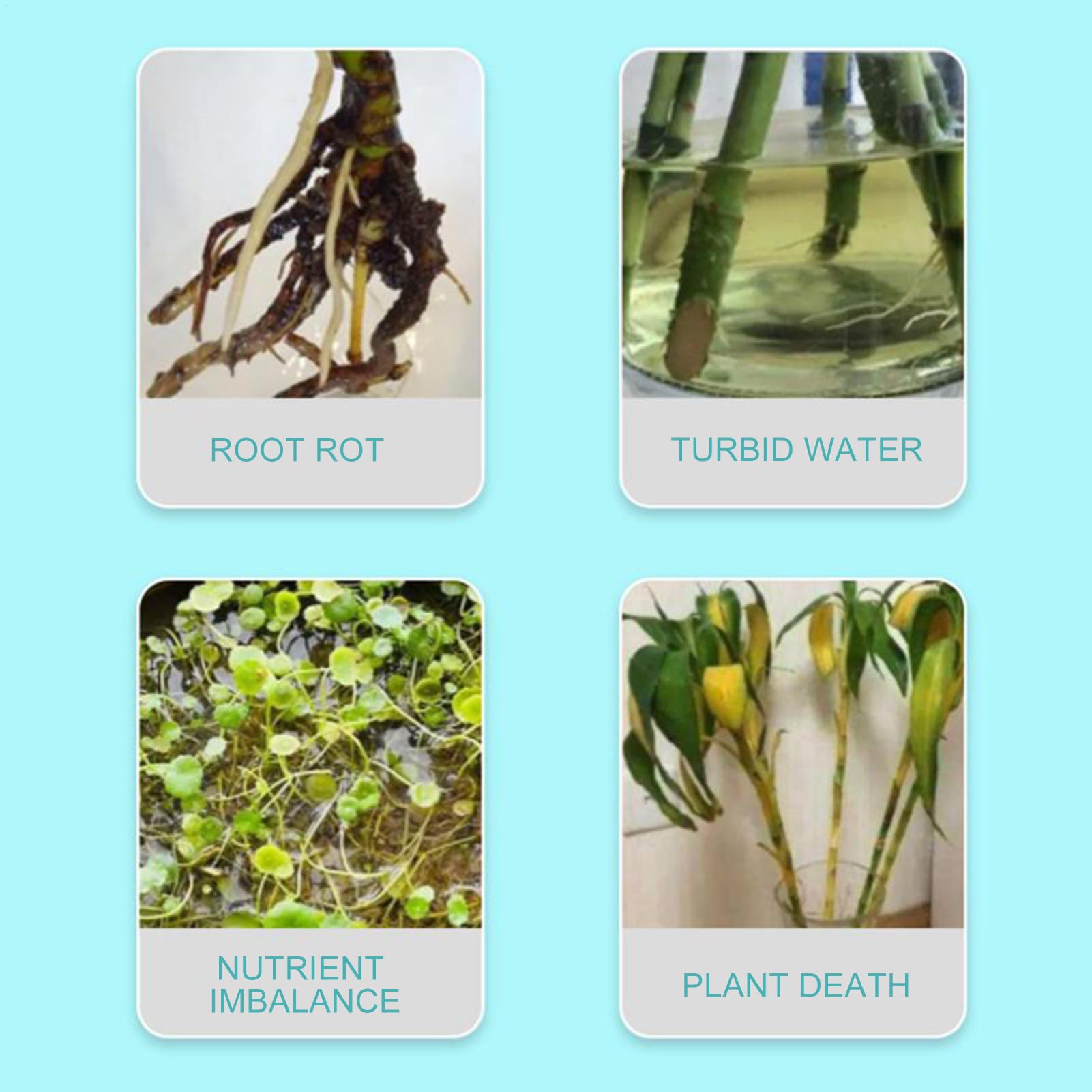 Fertilizzante Idroponico - Nutriente Liquido per Piante - 110ml per Fiori Piante da Appartamento Coltivazione Orto Propagazione e Giardinaggio