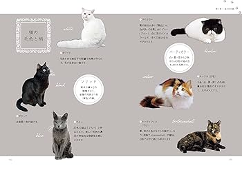 国内人気作家様、小さな猫 国内人気作家様、小さな猫