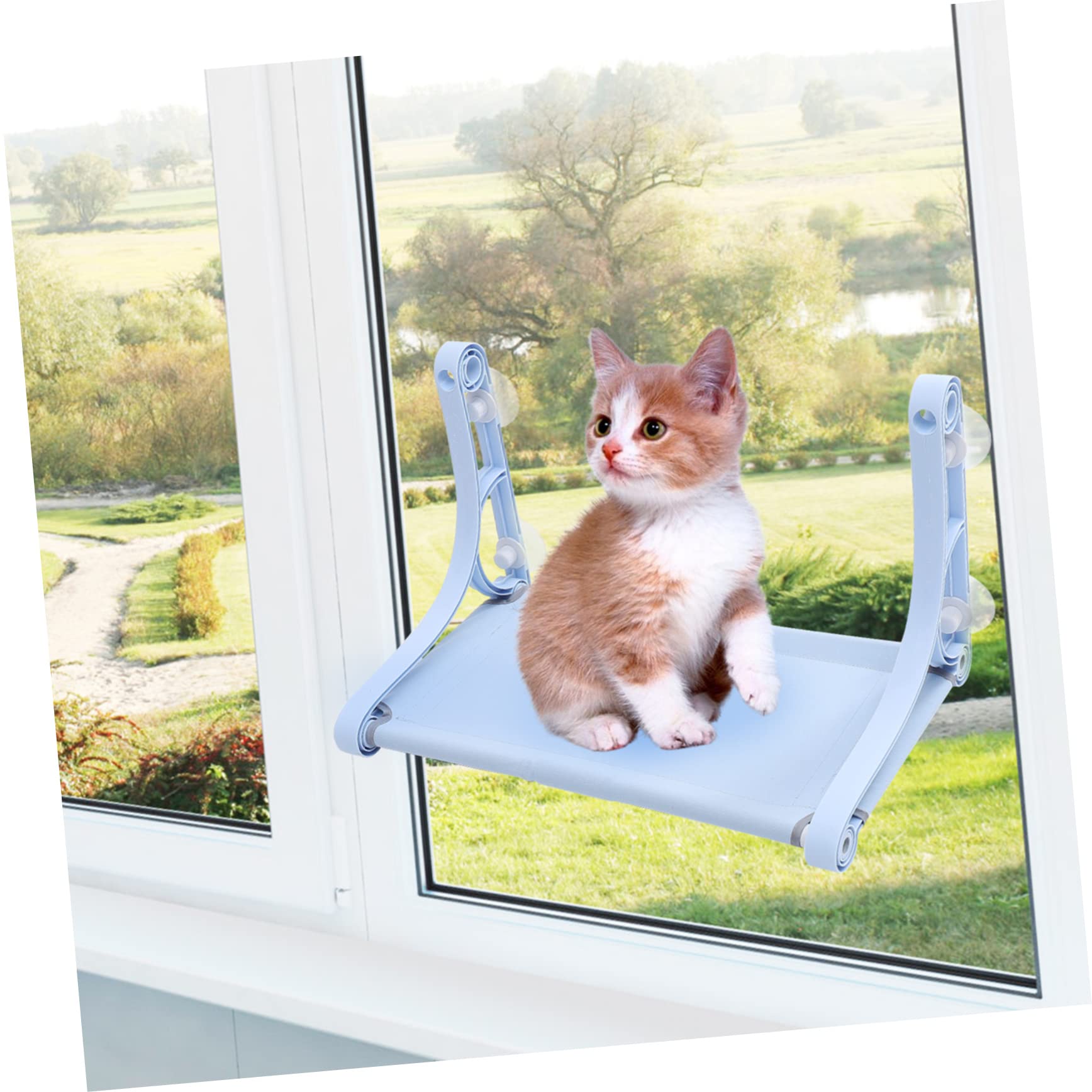 Kisangel Amaca Finestra per Gatti Blu Ventosa, Lettino Sospeso | Pp Resina e Canvas, per Piccoli Animali Domestici, Uso in Gabbia e Gioco