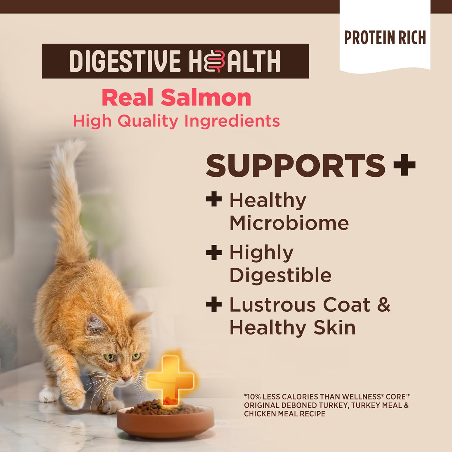 Wellness CORE+ Digestive Health Adult Dry Cat Food, Natural, Wholesome Grains Kibble, Salmon and Rice Recipe, 5 lb Bag