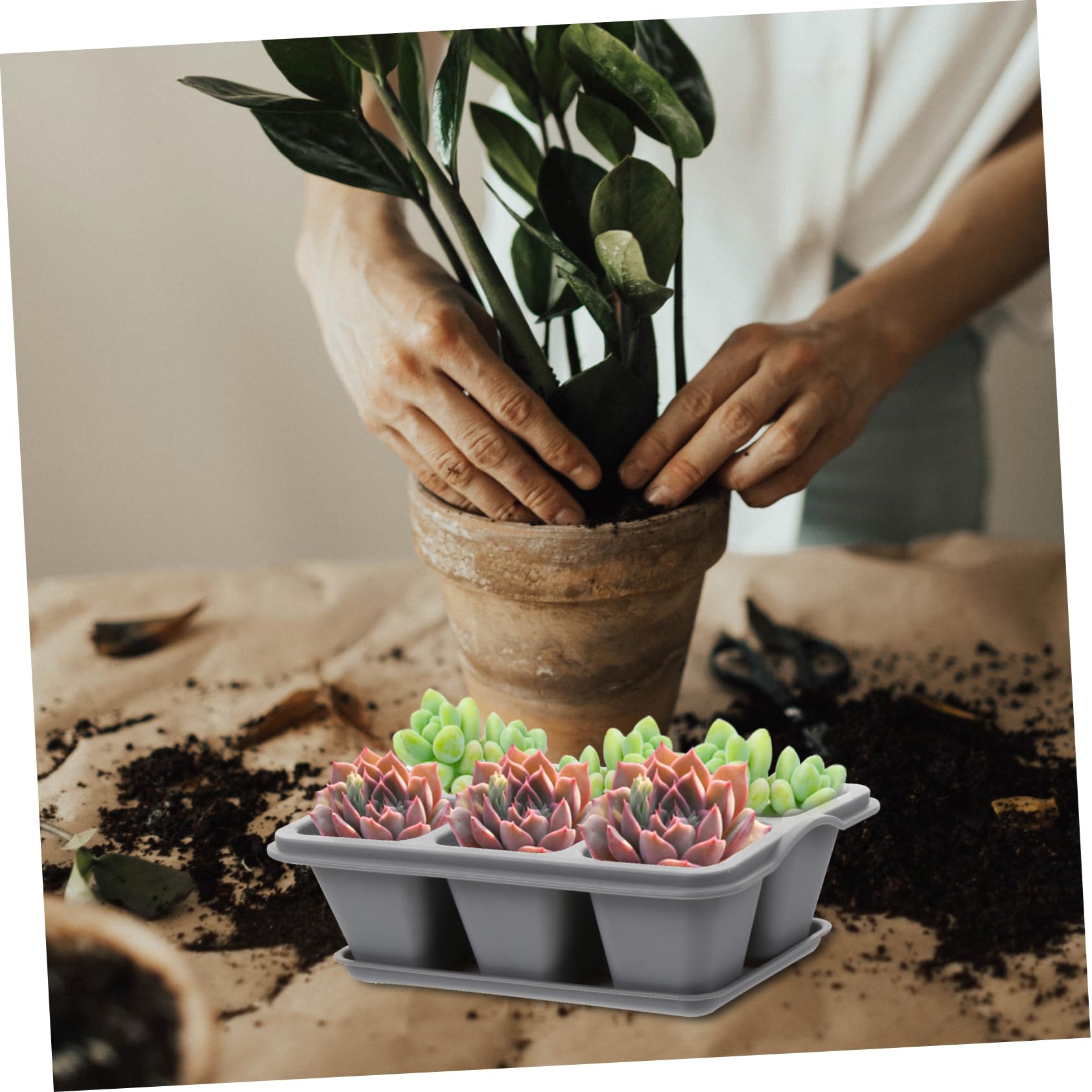 UKCOCO 2 Ensembles Pots De Fleurs Cases Soucoupes pour Germination Replantation De Plantes pour Décorer 4 Pièces * 2
