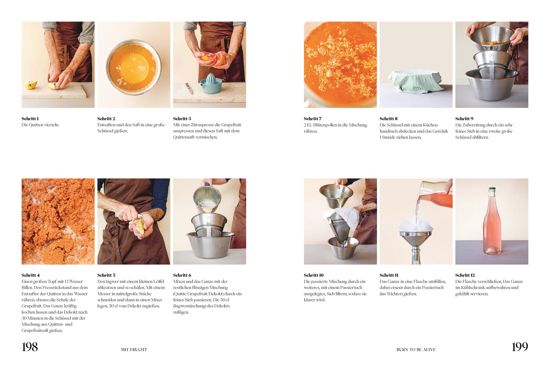 Sobrelier: Innovative Getränke vom Sober Sommelier. Exquisite Sobrevages: 45 Rezepte mit Zutaten und Techniken für feinste alkoholfreie Getränke.