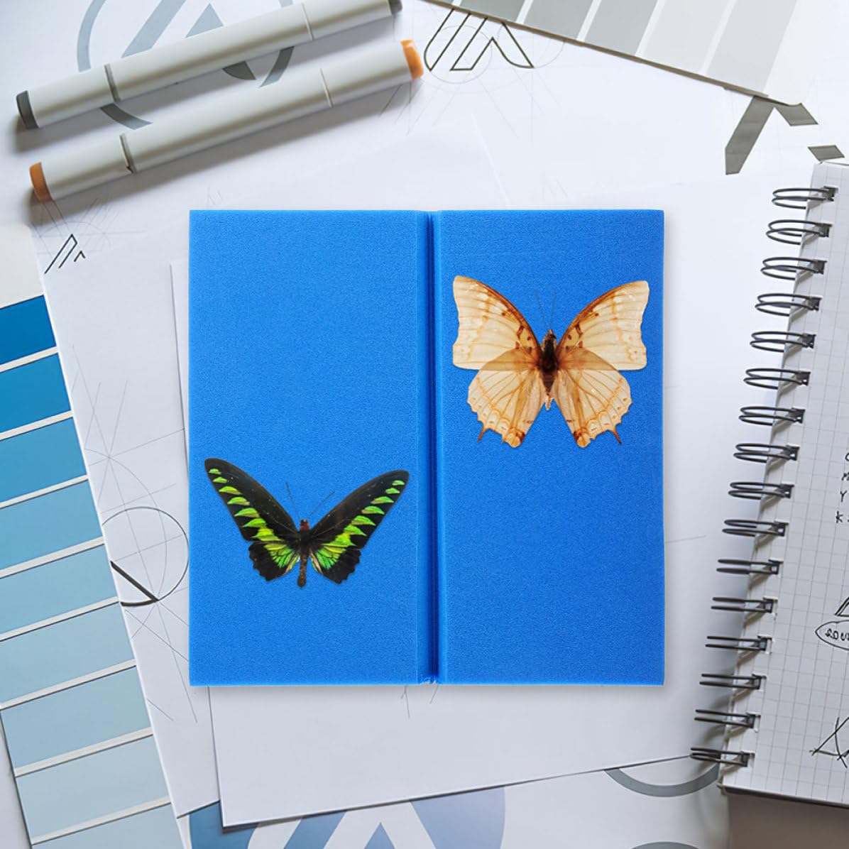 Eva Foam Insect Specimen Pinning Board 14x14x2cm High-Density Spreading Platform 2pcs for Butterfly Display and Entomology Collection