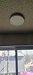 Review Image by TWO LIONS TRADING LLC TWO LIONS TRADING LLC