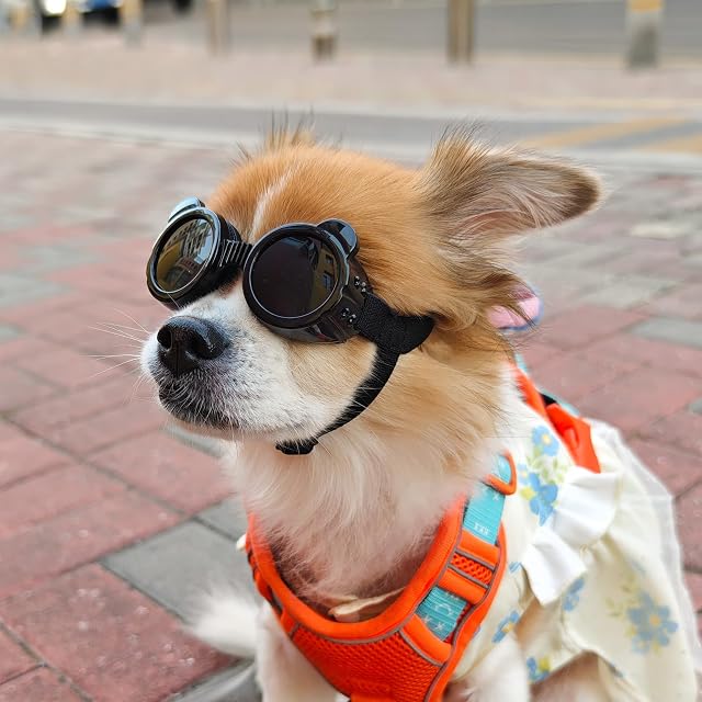 Foto 8 de 8 de Enjoying Gafas para perro raza pequeña, protección UV, gafas de sol para chihuahua y razas muy pequeñas