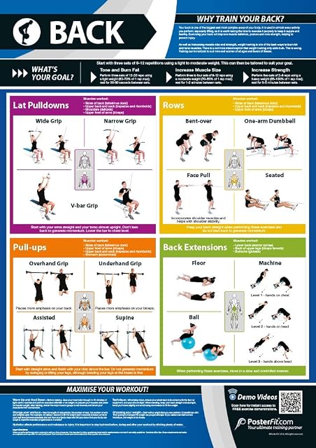 Back Exercise | Full Workout Improves Strength Training | Laminated Gym and Home Poster | Includes Online Video Training Support | Size - 594mm x 420mm (A2) | Improves Personal Fitness