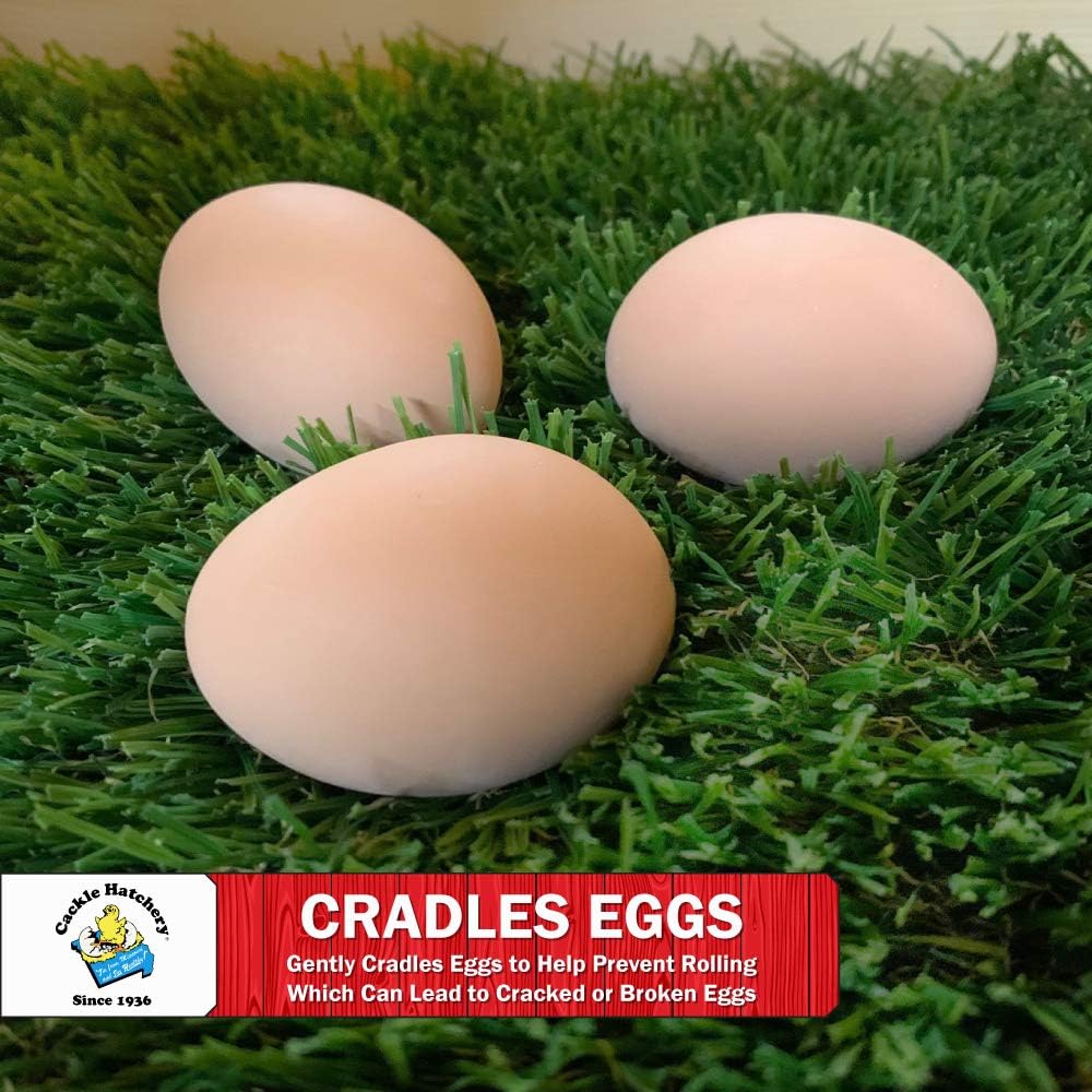 Cackle Hatchery Laying Hen Nest Box Turf (12 Pack)