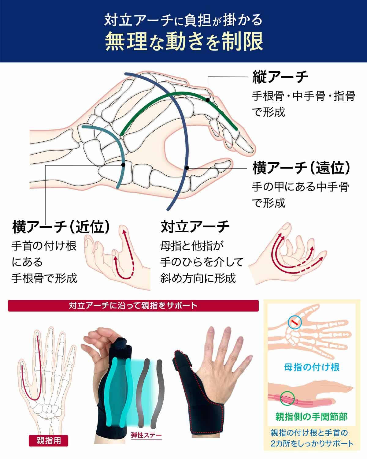 Amazon | リフリーラ 親指 サポーター 関節 付け根 固定 母指 cm 予防