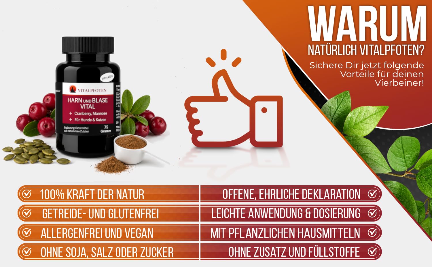 75 Gramm Harn und Blase Vital sensitiv Pulver für Hunde & Katzen mit Cranberry, Mannose und Kürbiskern, pflanzliche Hausmittel - Rezeptur bei Blasenentzündungen und Inkontinenz