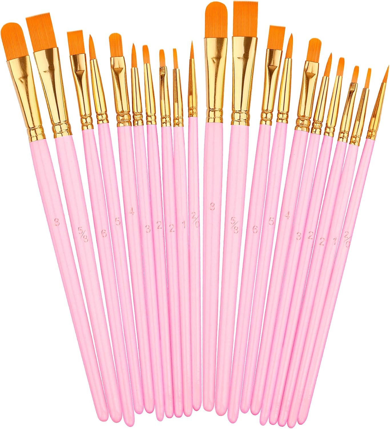 Paint Brushes Set, 2Pack 20 Pcs Paint Brushes for Acrylic Painting, Oil Watercolor Acrylic Paint Brush, Artist Paintbrushes for Body Face Rock Canvas, Kids Adult Drawing Arts Crafts Supplies, Pink
