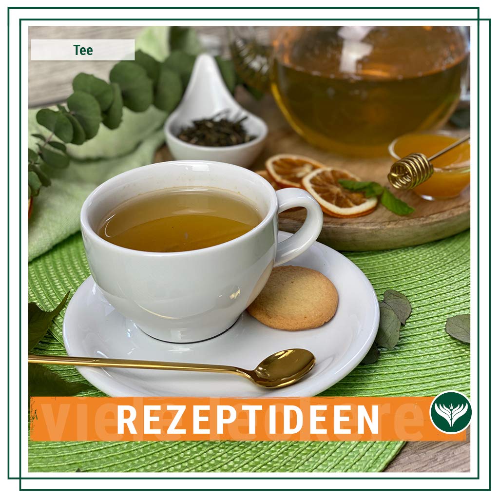 Azafran BIO Wellness Tee Sencha Grüntee/Natürlicher Zitronentee 1kg