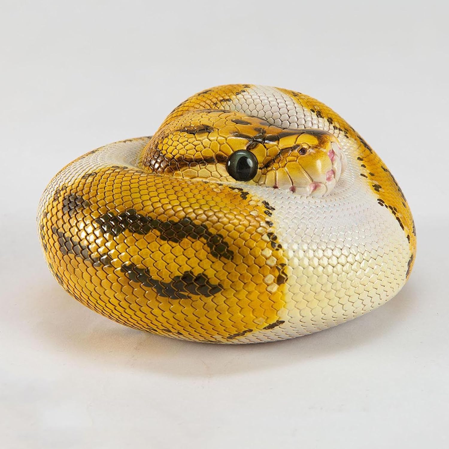 Animal Heavenly Body Plus Ball Python‌ Model Wildlife Collection Gift