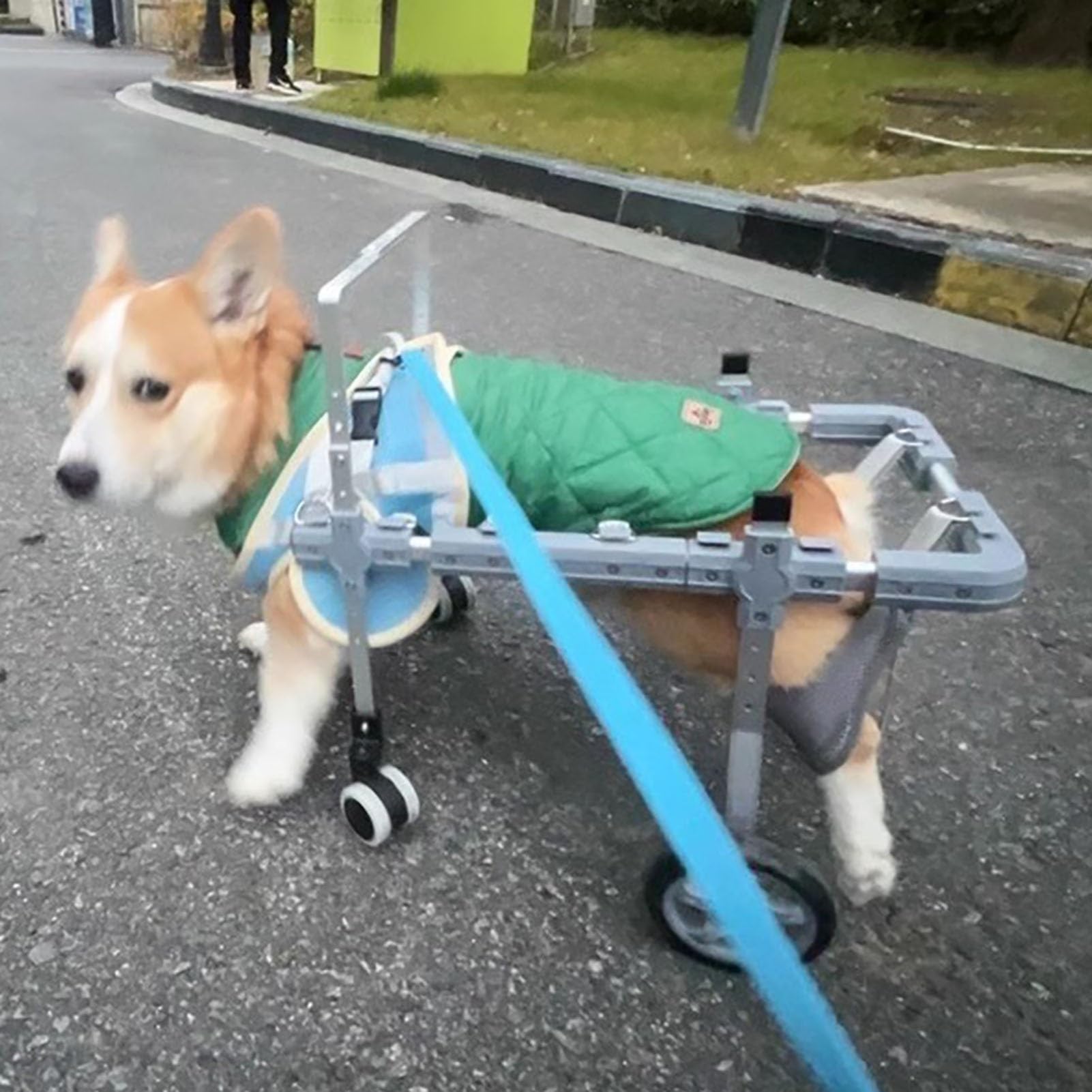 Silla de ruedas para perros de 4 ruedas y soporte ajustable trasero
