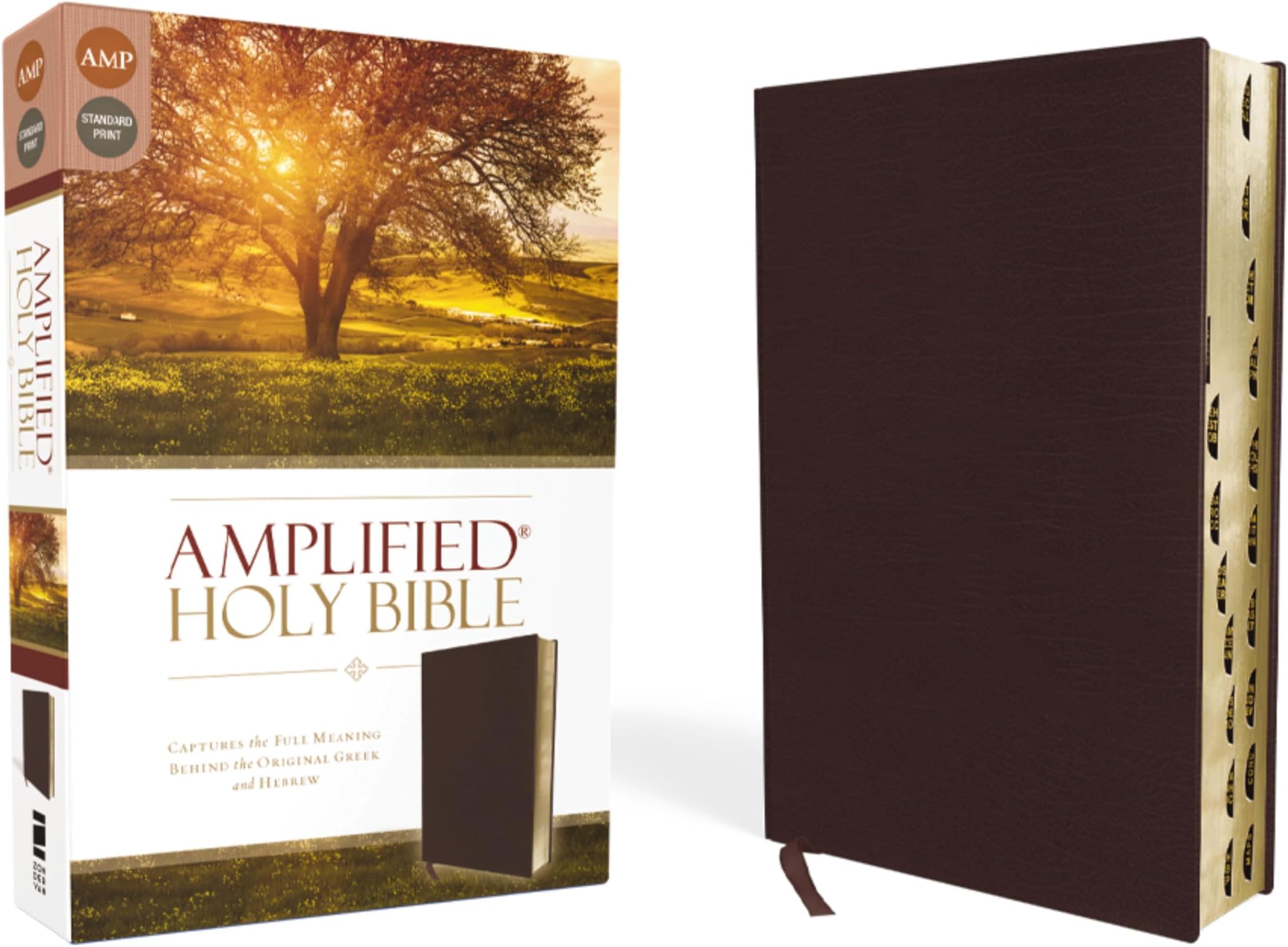 Amplified Holy Bible, Bonded Leather, Burgundy, Thumb Indexed: Captures the Full Meaning Behind the Original Greek and Hebrew