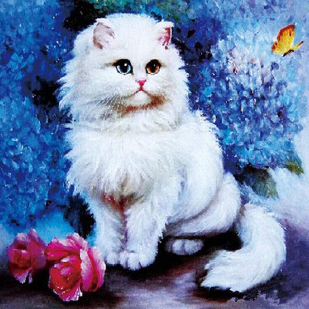 Broderie Diamant Chat Persan Blanc 50x50 cm pour Décoration Maison