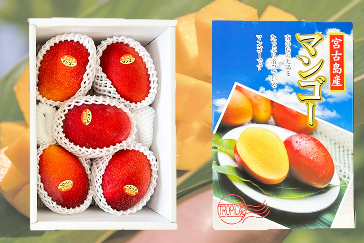 Amazon.co.jp: お中元 夏ギフト とろける食感！沖縄県宮古島産 朝採れ