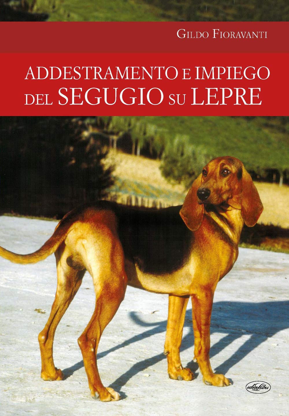 Addestramento E Impiego Del Segugio Su Lepre - 4