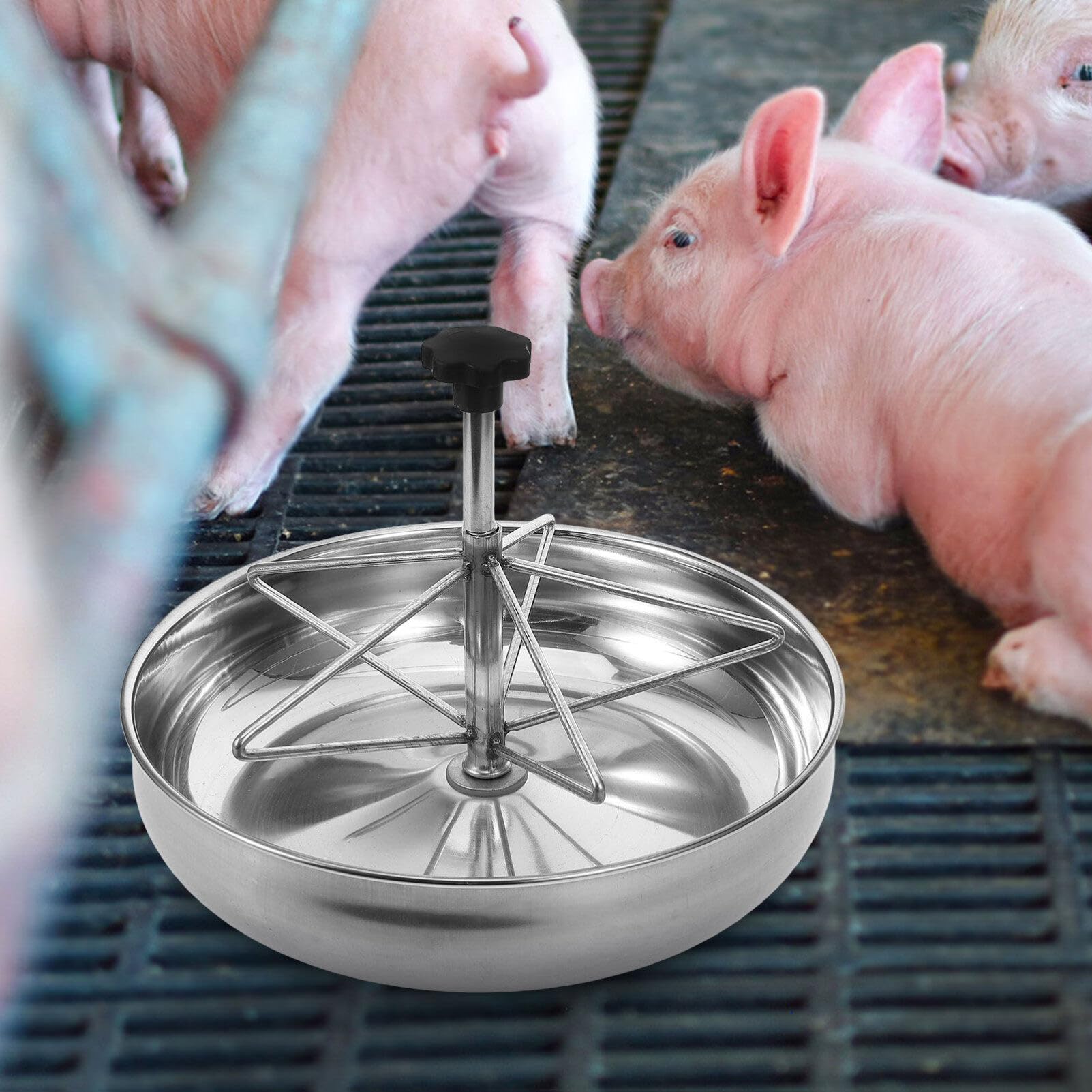 Mangiatoia per Suini in Acciaio Inox, Capacità Grande, Argento | Design Fisso, Facile da Pulire, Uso Interno ed Esterno, per Allevamento Suino