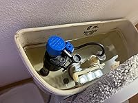 Review Image by Tate Tate