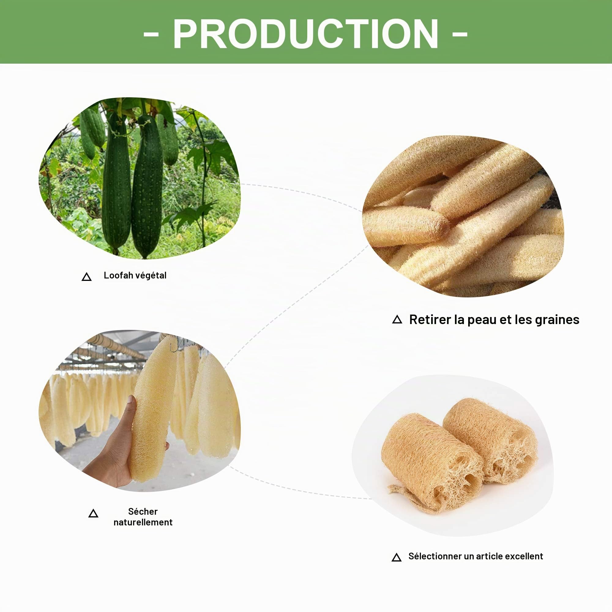 LOBO Lot de 4 éponges en luffa naturel pour le bain quotidien