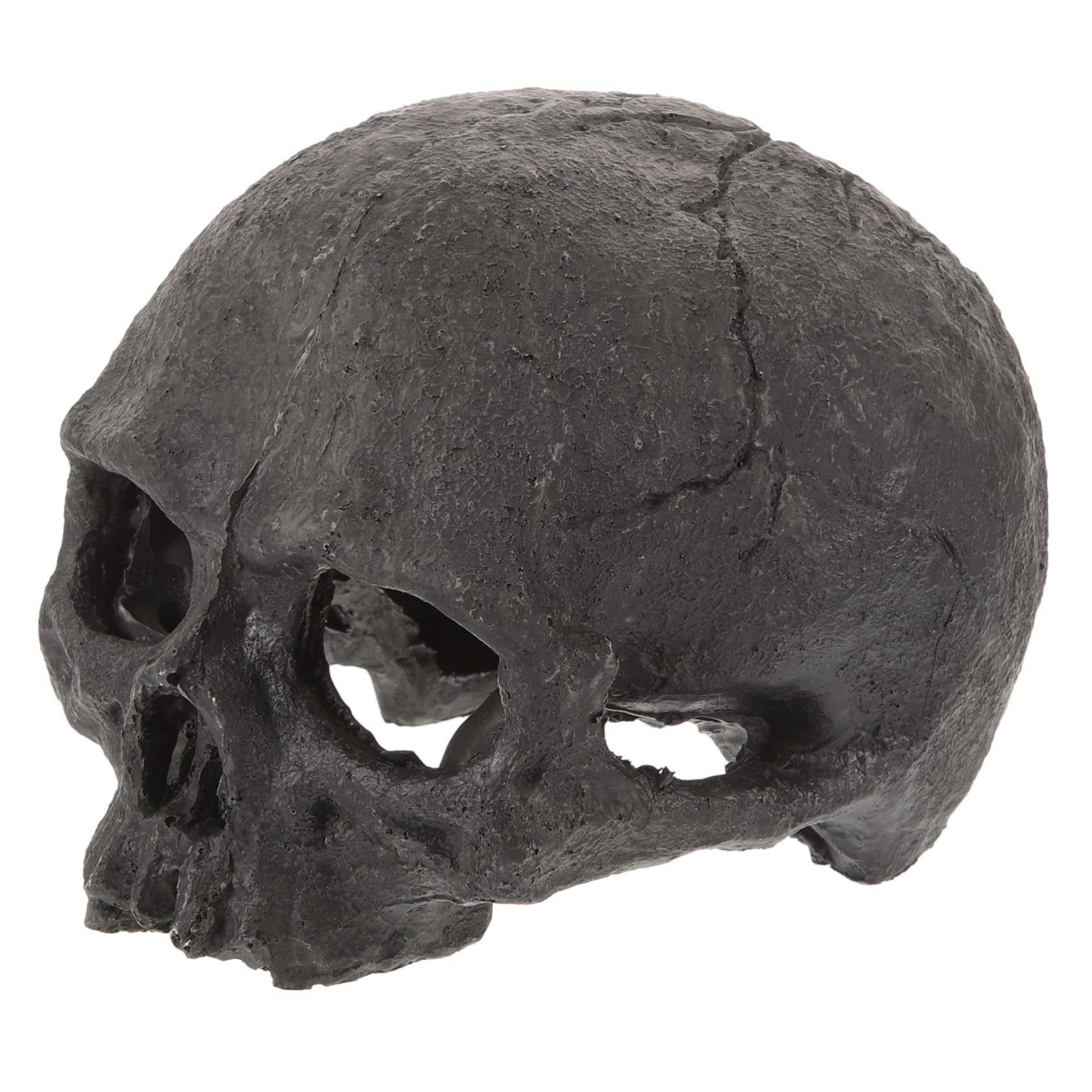 Cabilock 4 Piezas Adornos De Resina De Calavera. Ocultación Decoraciones De La Cueva del Tanque De Peces Decorativo Terrario De Piel De Reptil Decoración Esqueleto para Falso Black