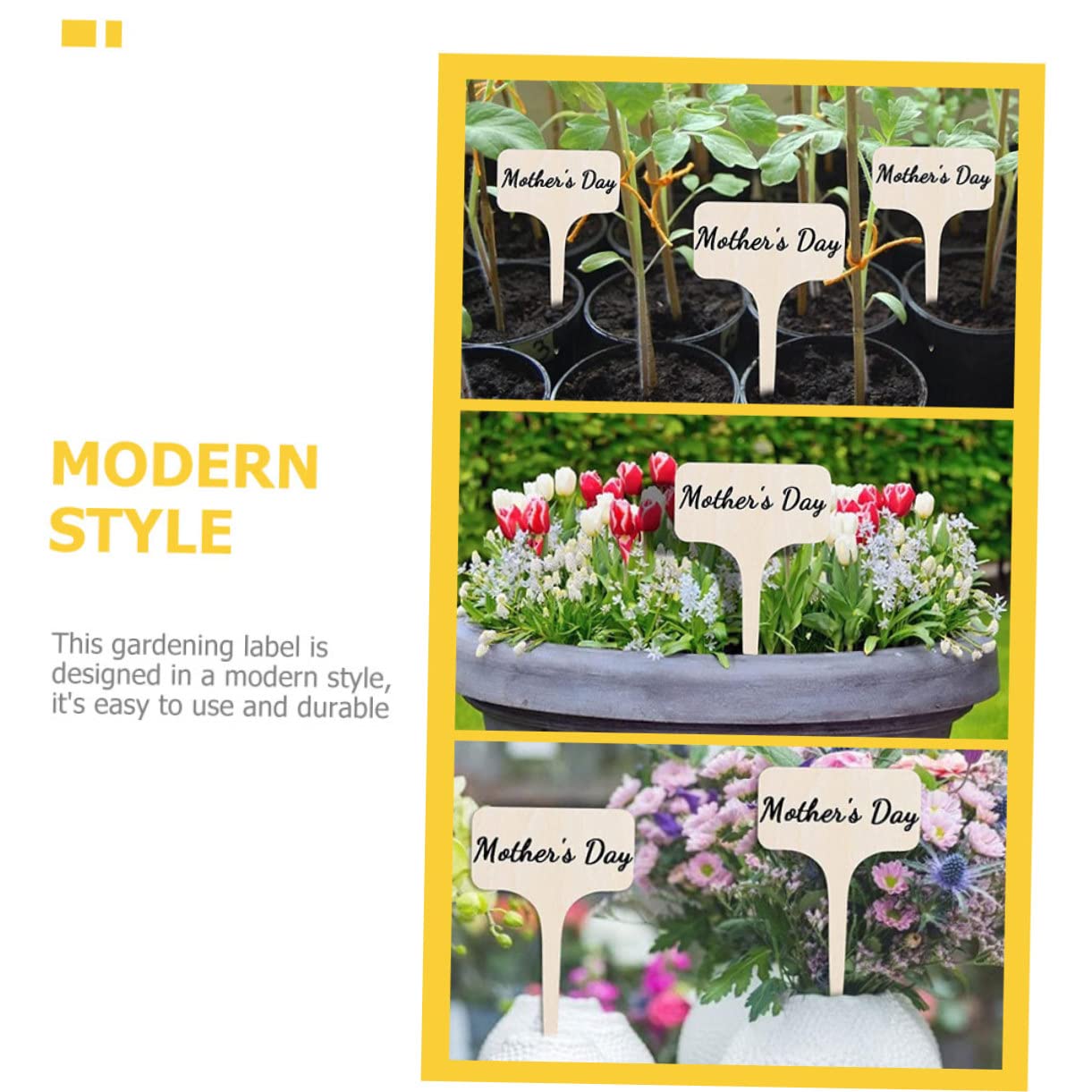 Milisten 4 ensembles Étiquette De Jardinage Nom Plante Piquets Plantes Petites Jardinières Étiquettes De Jardin Étiquettes Blanches Imperméables Pour 20 pièces * 4