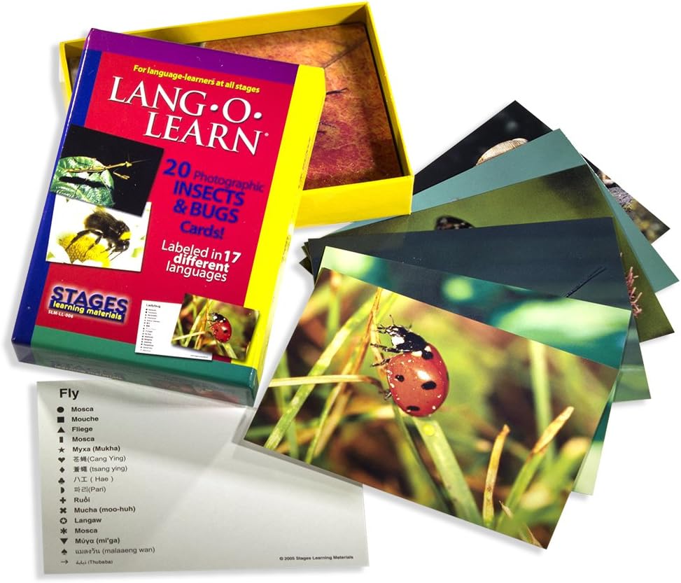 Stages Learning Lang-O-Learn ESL Insects & Bugs Vocabulary Photo Flash Cards image 3