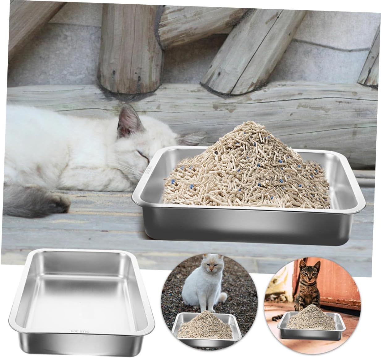 Cat Litter Box Open Design for Small Cats and Kittens and Easy to Non-Spill Construction for Litter Training Generous