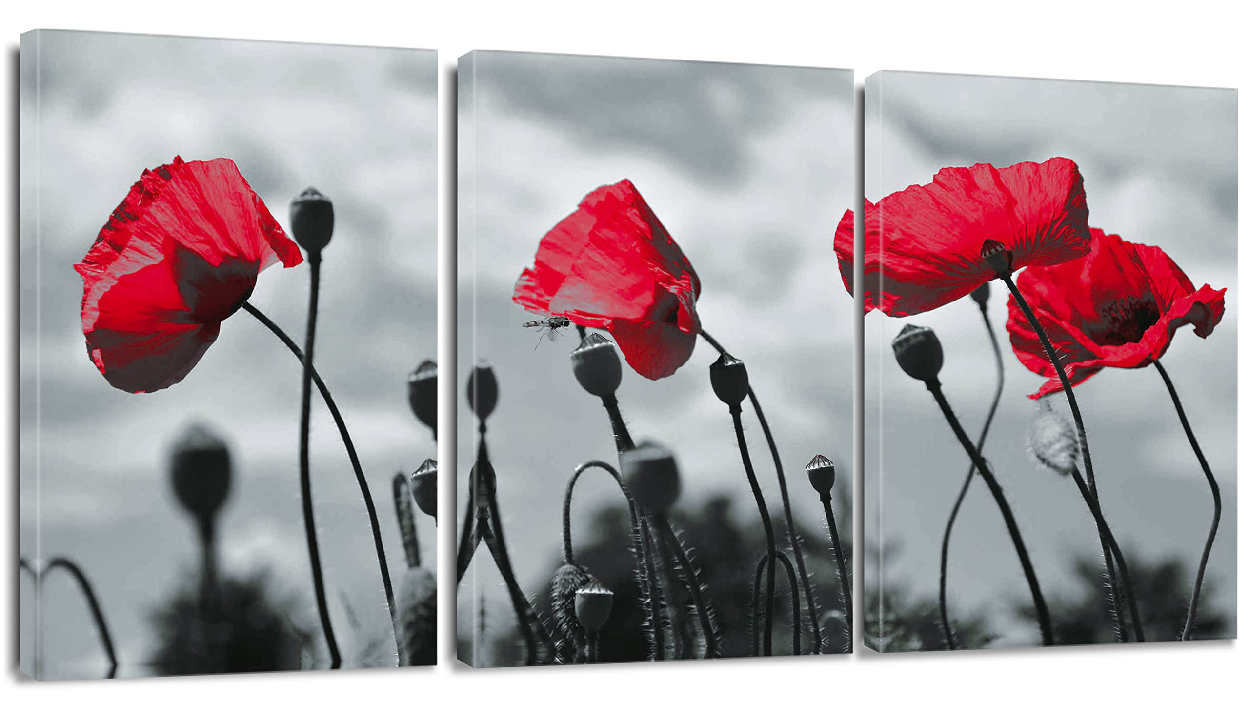 Artscope 3 Pieces Wall Art Canvas Prints, Red Flowers Picture Painting
