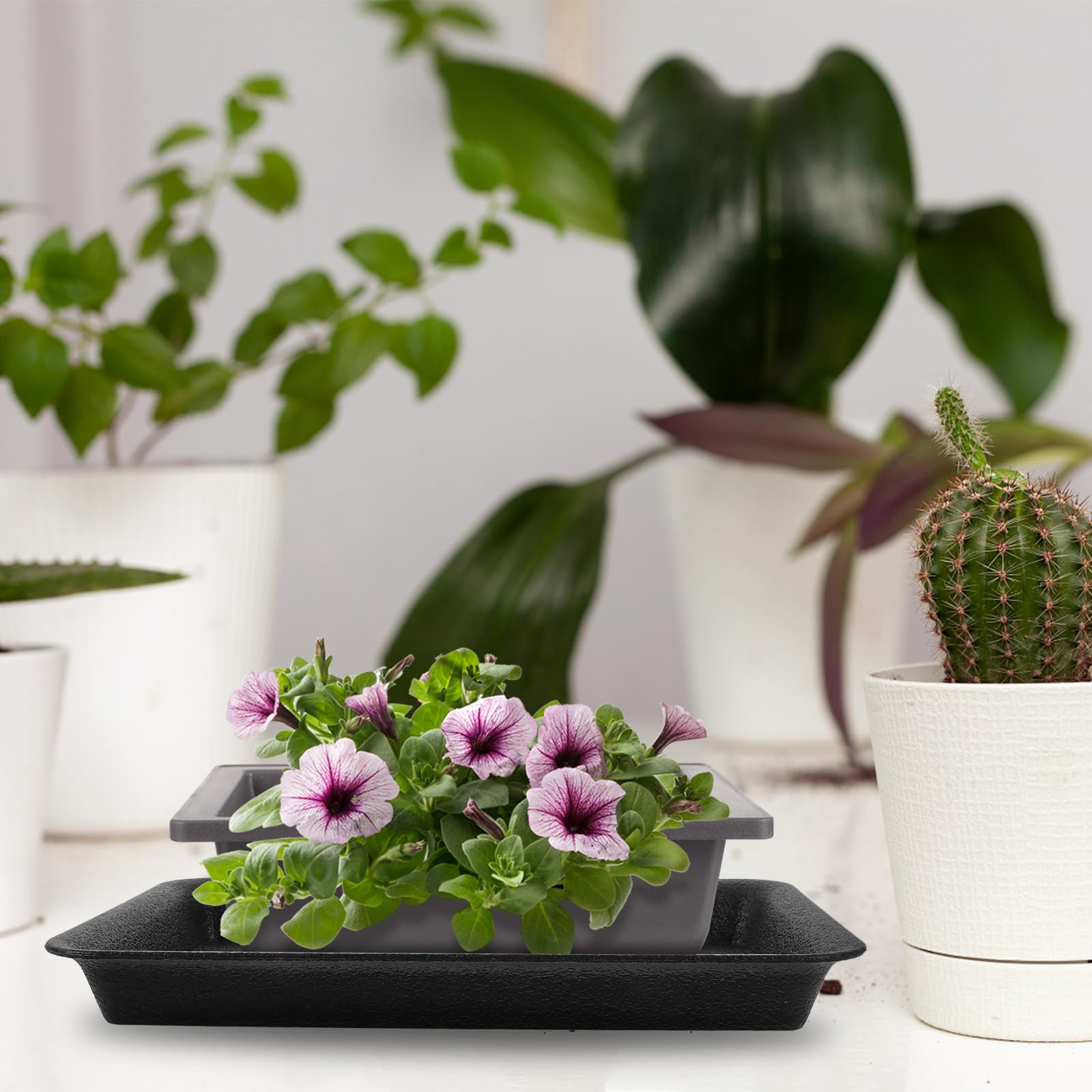 Yardwe 6Pcs Rectangular Plant Pot Trays for Windowsill Black Plastic Drip Tray, Long Saucers for Indoor Flowers and Succulents - Image 2