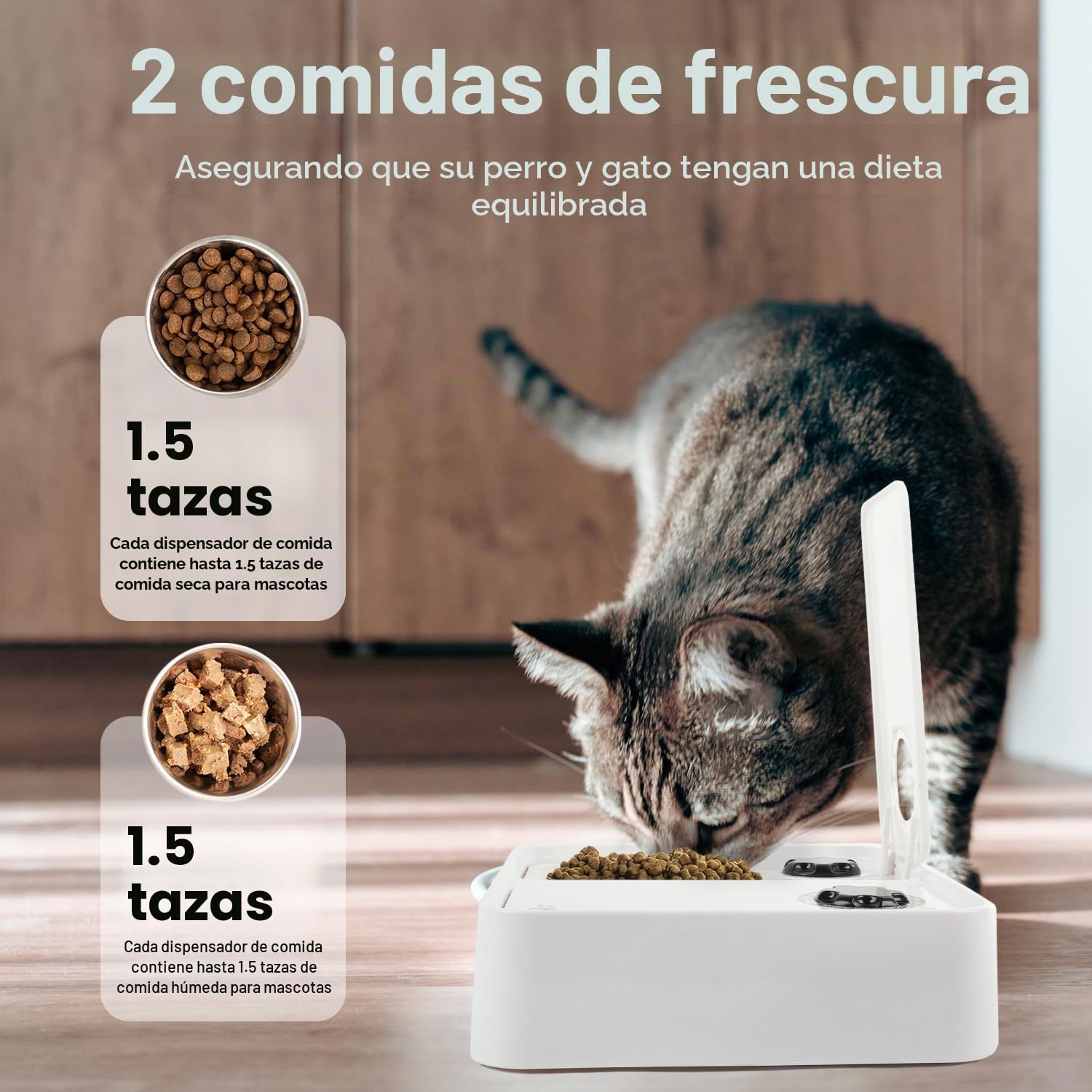 ALL FOR PAWS Comedero automático para gatos y perros de 2 comidas - Dispensador de alimentos secos y húmedos, temporizador de 48 horas, paquete de hielo incluido, apto para lavavajillas, blanco