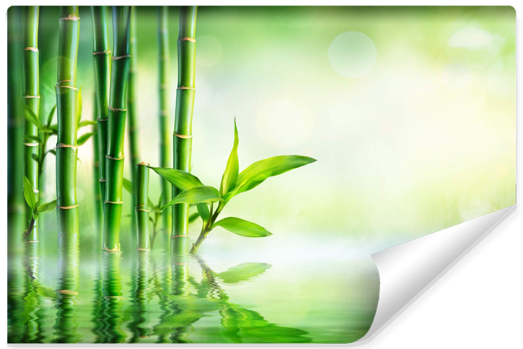 Muralo Samoprzylepna fototapeta 315 x 210 naturalny bambus tropikalna tapeta egzotyczna flora szczeble liście salon sypialnia obrazy ścienne XXL ściana szerokość 315 cm x wysokość 210 cm