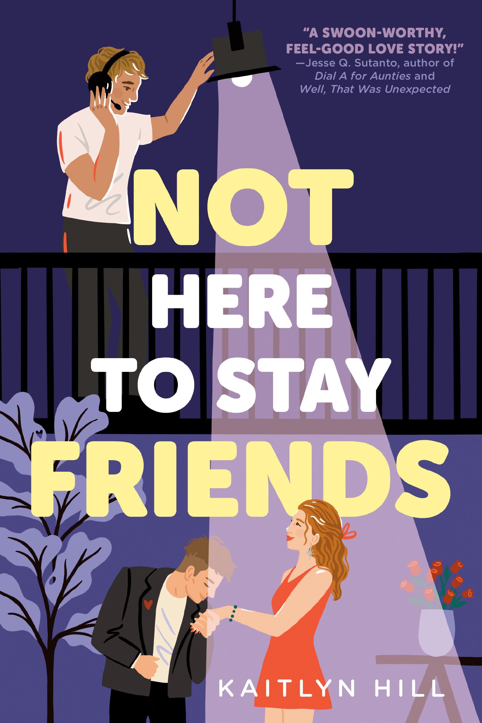 Not Here to Stay Friends by Kaitlyn Hill (Paperback Book)