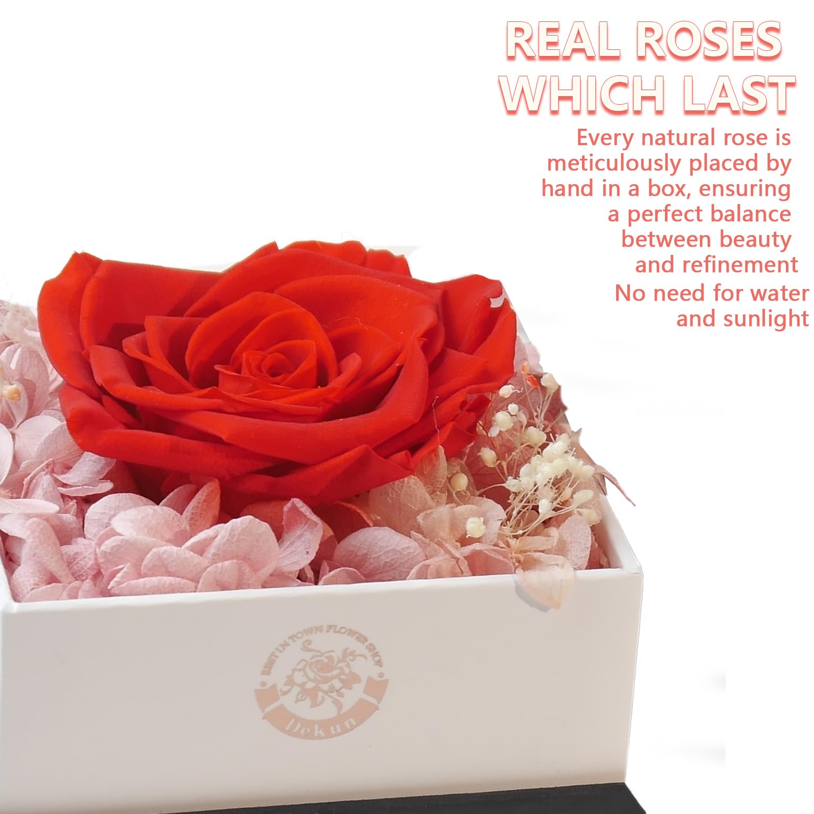 Preserved Rose Gift Set OSIAX Preserved Real Red Rose Gift Set With ...