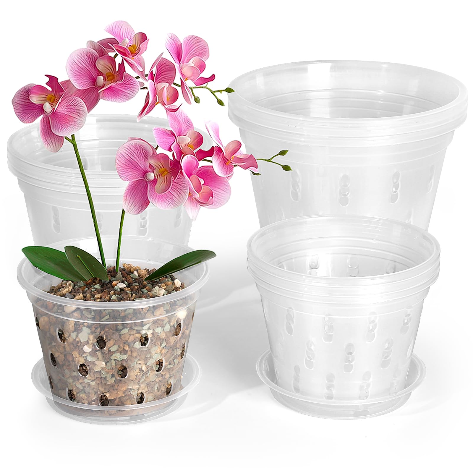 Vaso Trasparente In Plastica Per La Cura Delle Piante E - Foto 3