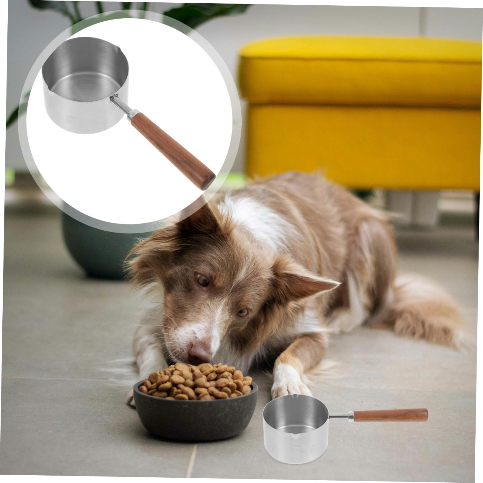 POPETPOP 4 Pièces Cuillère De Nourriture Pour Tasse À Mesurer Cuillère De Nourriture Pour Chat Cuillère À Mesurer Pour Pour Animaux De Compagnie Cuillère À Mesurer Tasse À