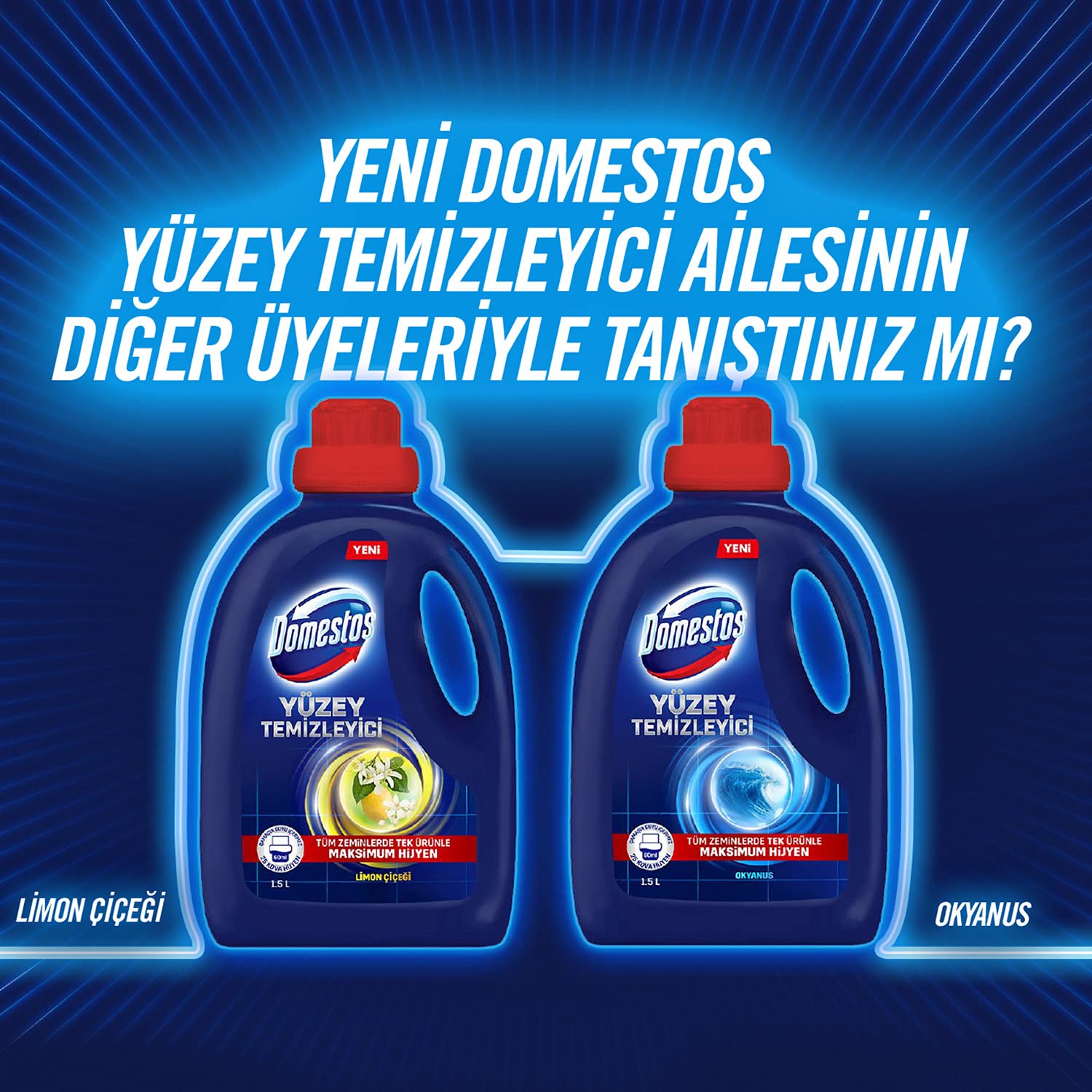 Domestos Yüzey Temizleyici Yoğun Kıvam Çam 1500 ml 2li paket