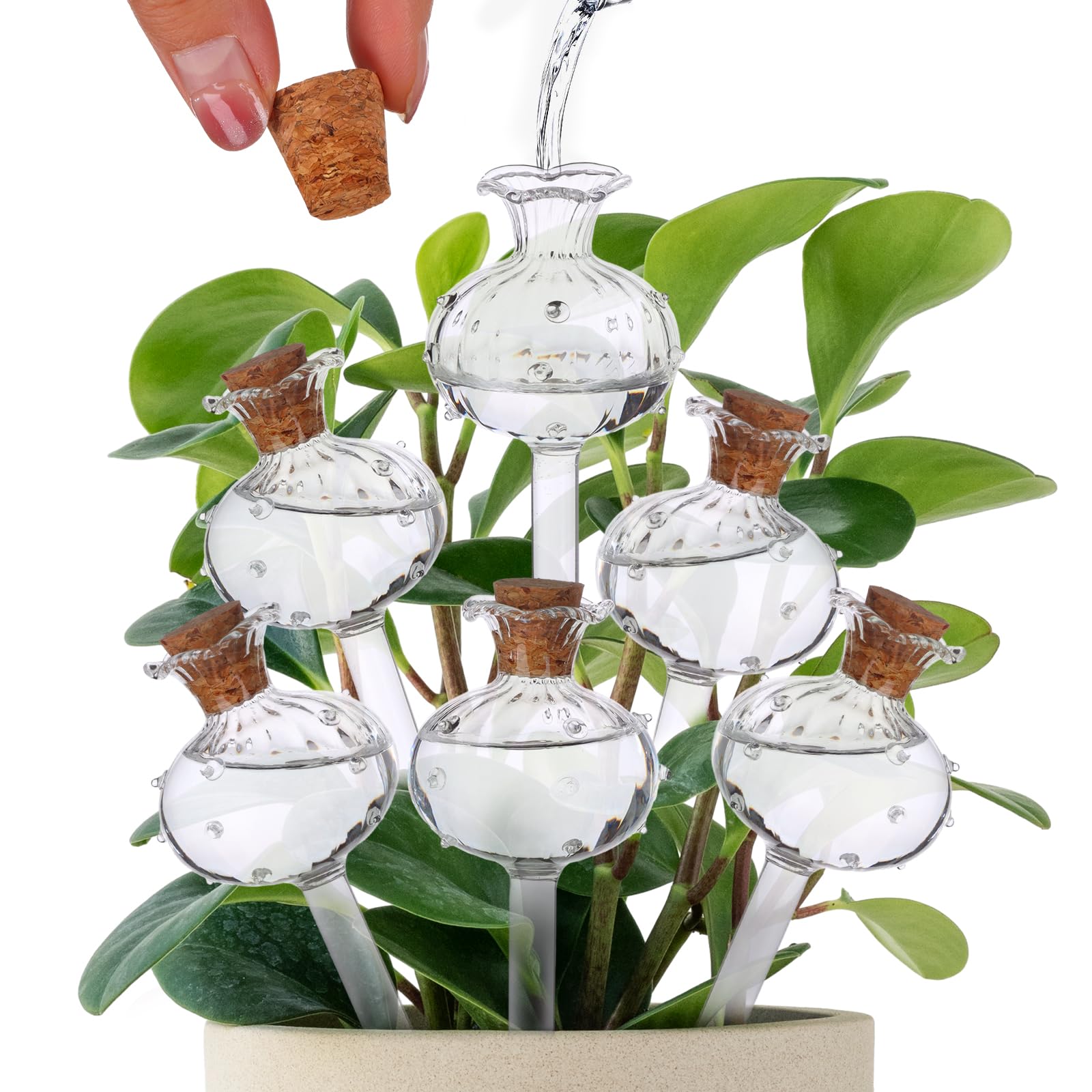 Beautywen 6Pcs 5.31 * 1.97'' Cactus Plant Waterer Glass Self Watering Globes Automatic Plant Watering Devices Plant Watering Balls Plant Watering Bulbs Plant Watering Globes Cactus Shape For Plants