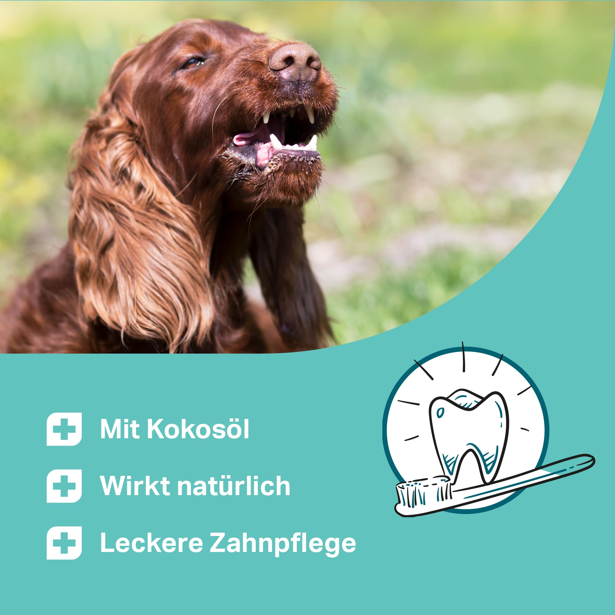 MEDIDOG Dental Pops – 250 g – natürliche Zahnpflege für Hunde – gegen Maulgeruch – Zahnreinigung ohne Chemie