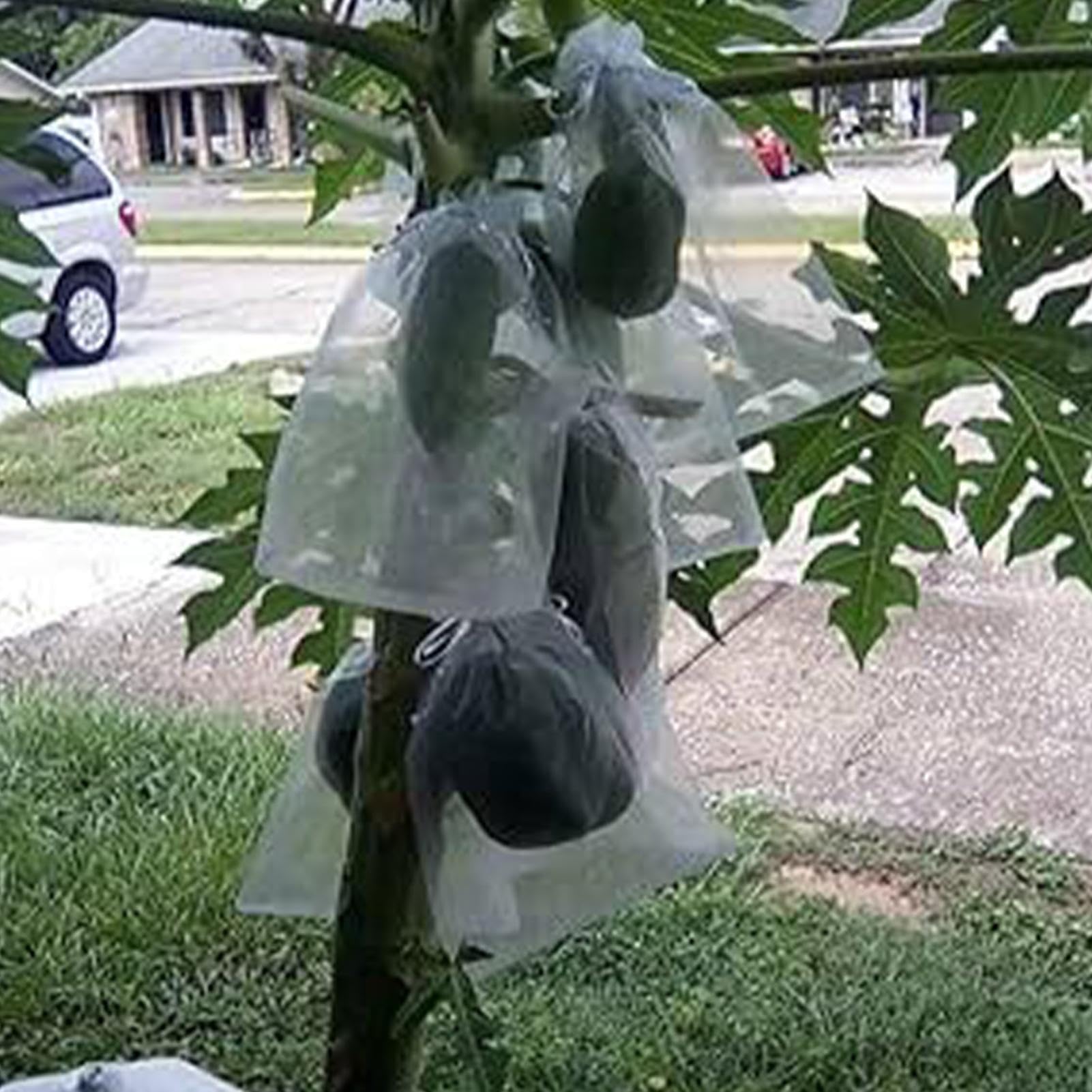 Bolsas de protección de frutas – 100 fundas de red de jardín reutilizables transpirables para árboles frutales con cordón para uvas, tomates, fresas, arándanos, mango, protección de huertos